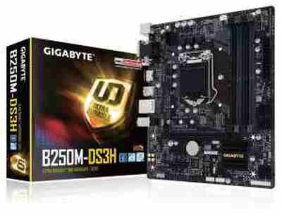 Gigabyte B250M MotherBoard | GIGABYTE GA-B250M-DS3H LGA Motherboard Price 23 Apr 2024 Gigabyte B250m Intel Motherboard online shop - HelpingIndia