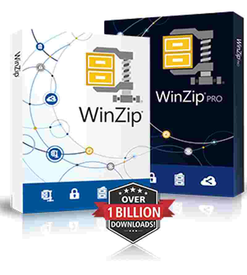 Winzip 2.9 Professional (1 user) price per user License Only ESD