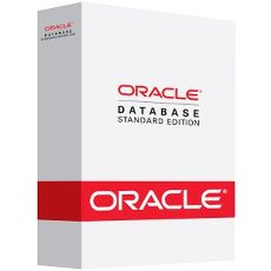 Oracle Database 11g 5 User Standard One Edition