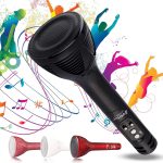 tourchspeaker3