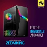 zebronicsviking